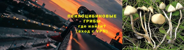 гашик Алексеевка