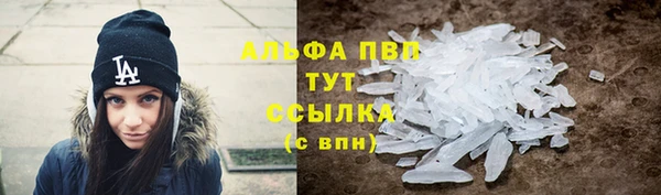 гашик Алексеевка