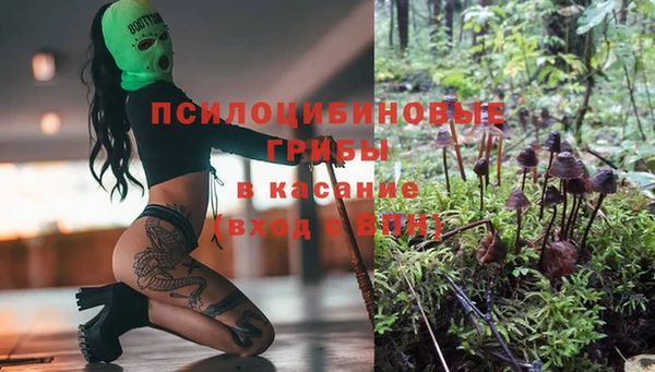 гашик Алексеевка