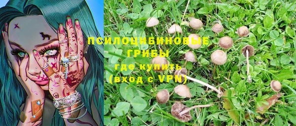 гашик Алексеевка