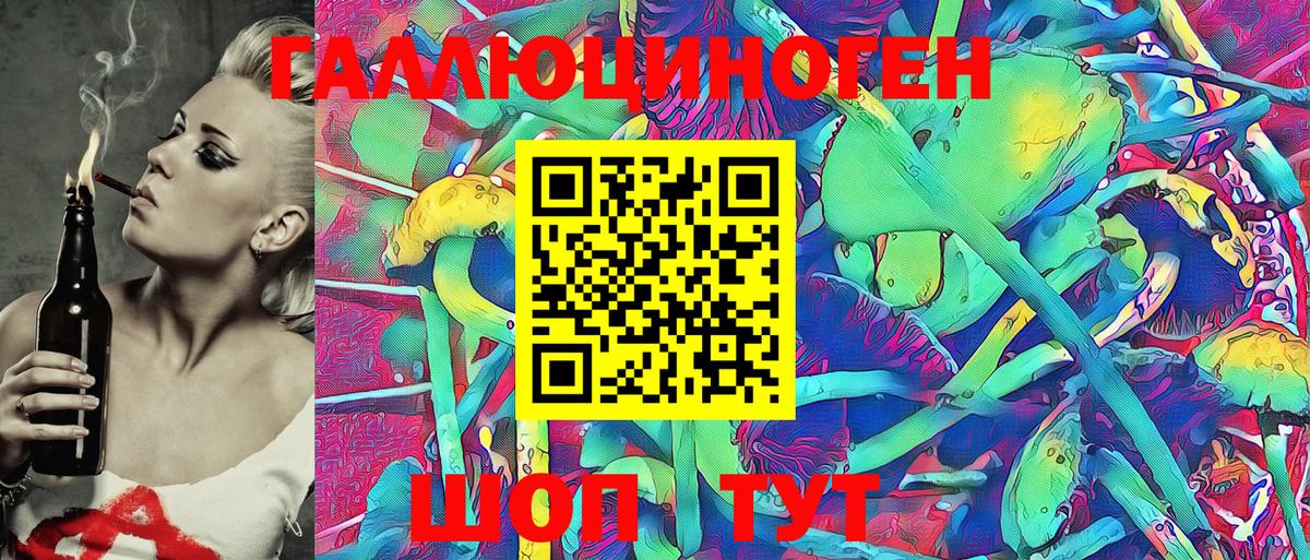 Псилоцибиновые грибы Psilocybe Алексеевка