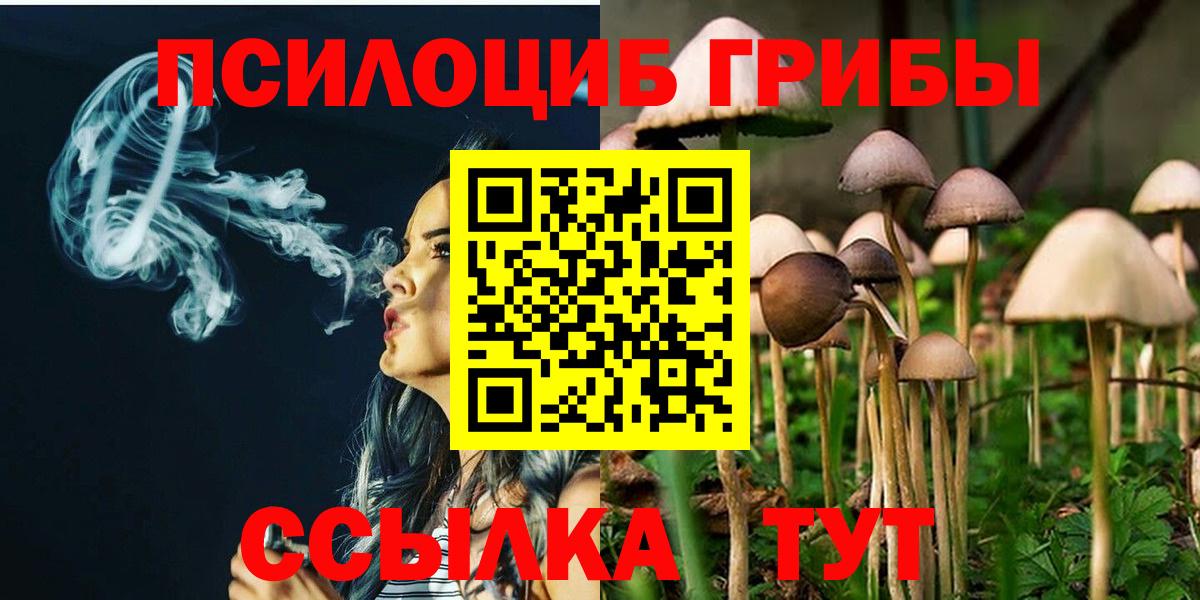 Алексеевка  Псилоцибиновые грибы мухоморы  Галлюциногенные грибы Magic Shrooms  Вход с VPN 