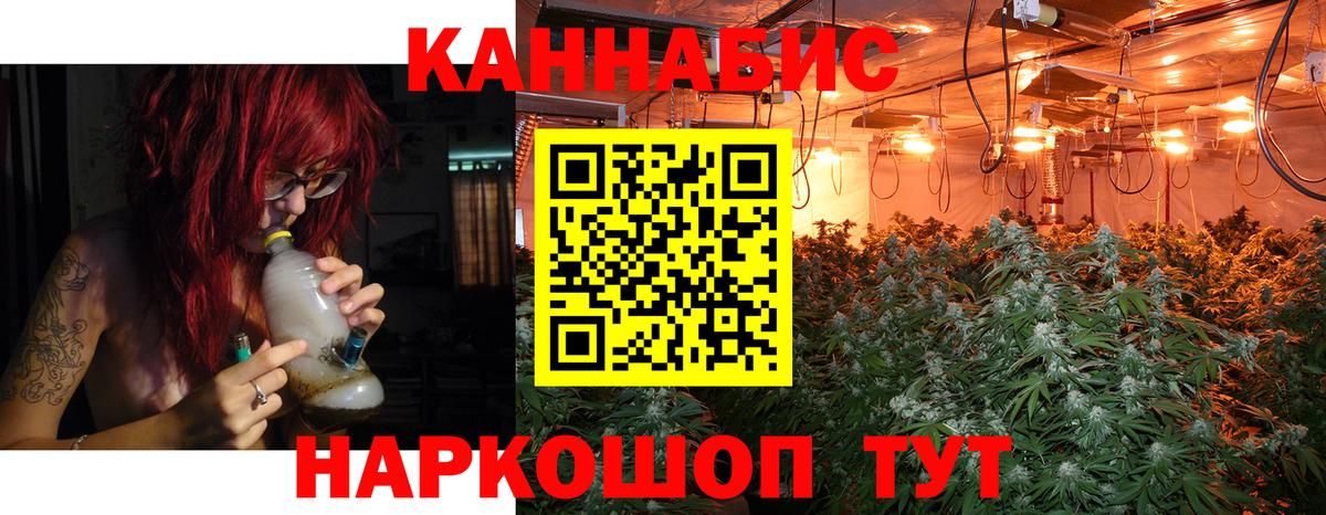 Конопля SATIVA & INDICA Алексеевка